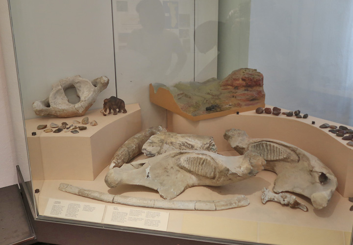 Musée archéologique strasbourg