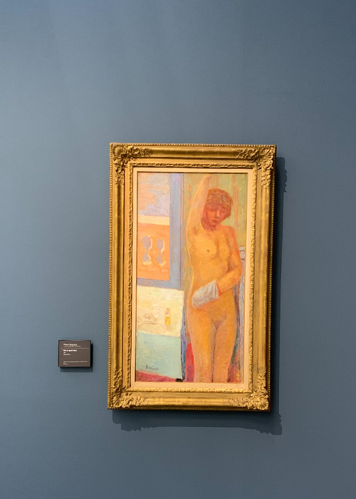 Nu au gant bleu
