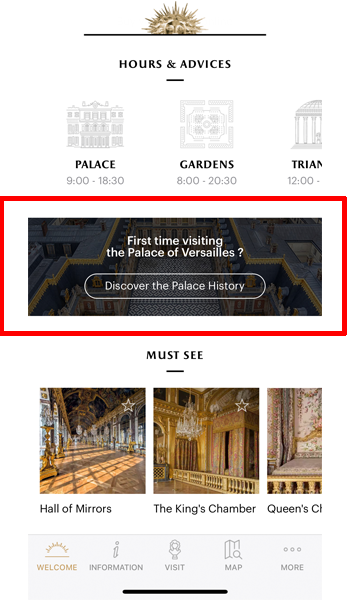 Discover the Palace Historyをタップします。