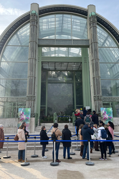 パリ植物園　熱帯雨林の温室です。